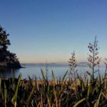 Toni Massicks: Winter Morning Kendall Bay