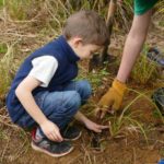 Stuart Barton Community Planting Birkenhead War Memorial Park