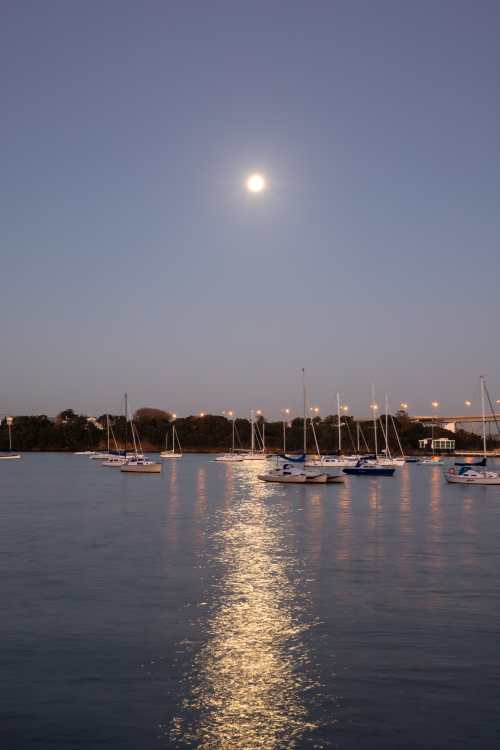 Kate Burton-Brown Birkenhead Wharf Moonlit Sparkle