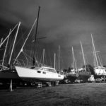 Theo Clearwater Little Shoal Bay Boats