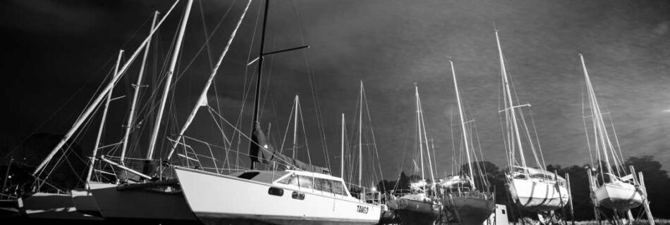 Theo Clearwater Little Shoal Bay Boats