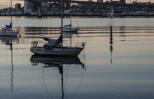 Quiet Waitemata Harbour and Yachts