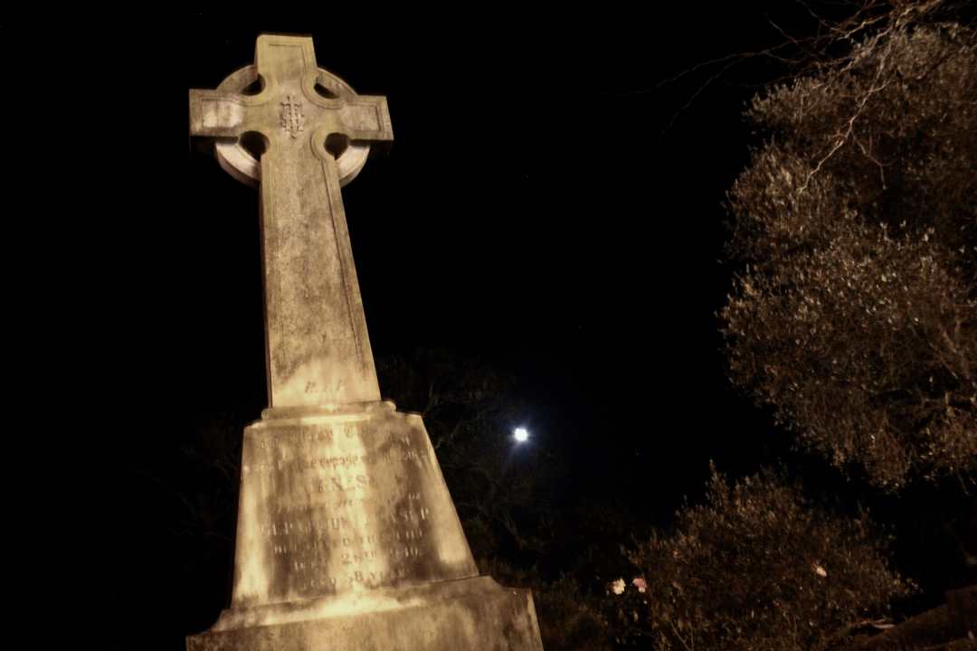 Ella Sievert Moonlight Over Birkenhead History