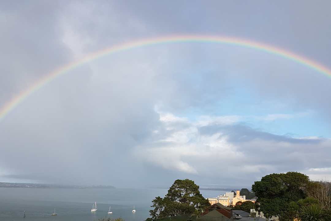 Chelsea Basks in the Light of a Rainbow