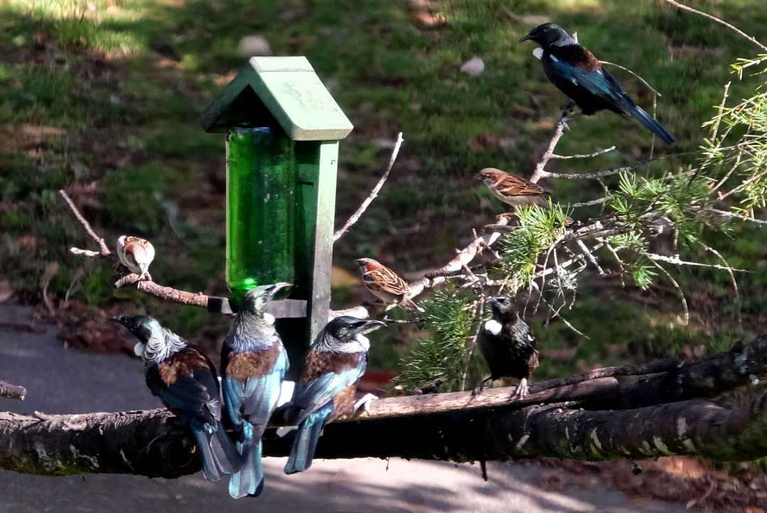 John Martins Breakfast Time