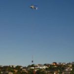 Marcia Roberts A Little Digger Flies into Chatswood Reserve