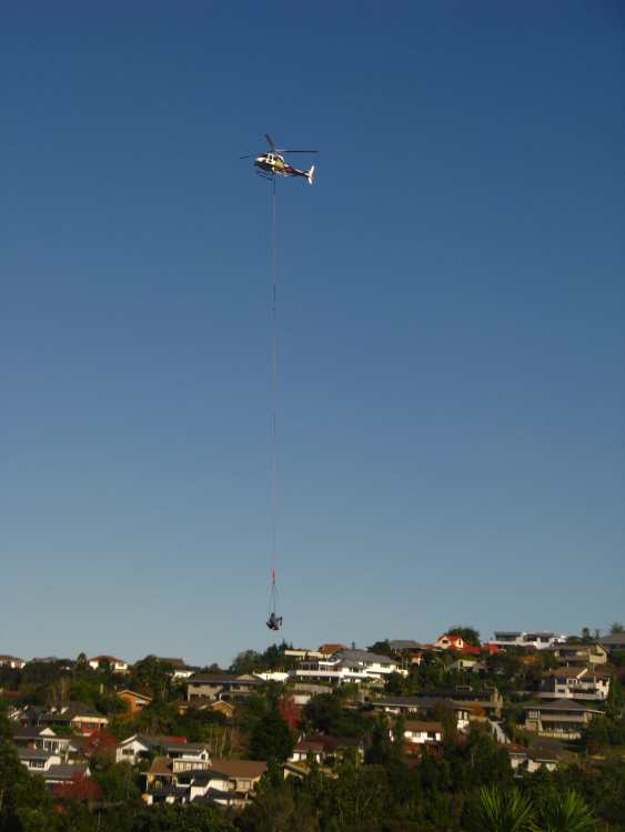 Marcia Roberts A Little Digger Flies into Chatswood Reserve