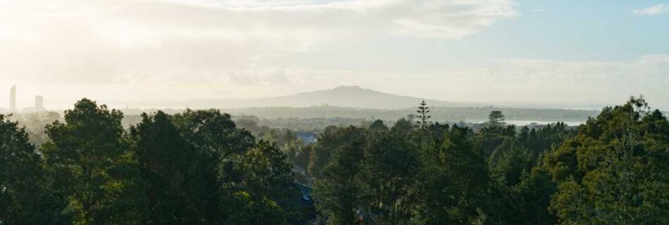 Robyn Roper Rangitoto View