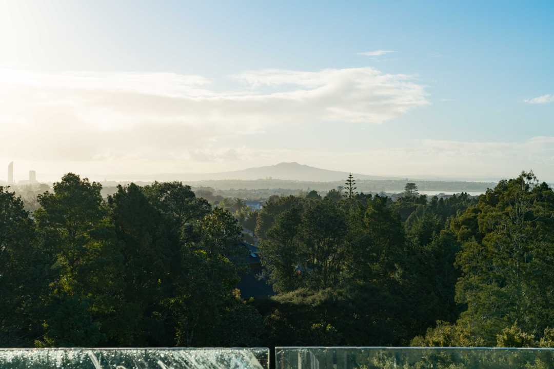 Robyn Roper Rangitoto View