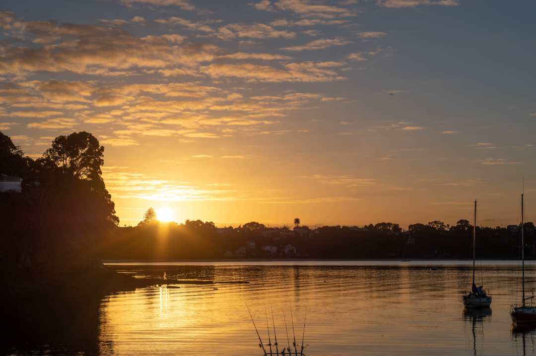 Shinri Sato Sunrise from Hinemoa Park