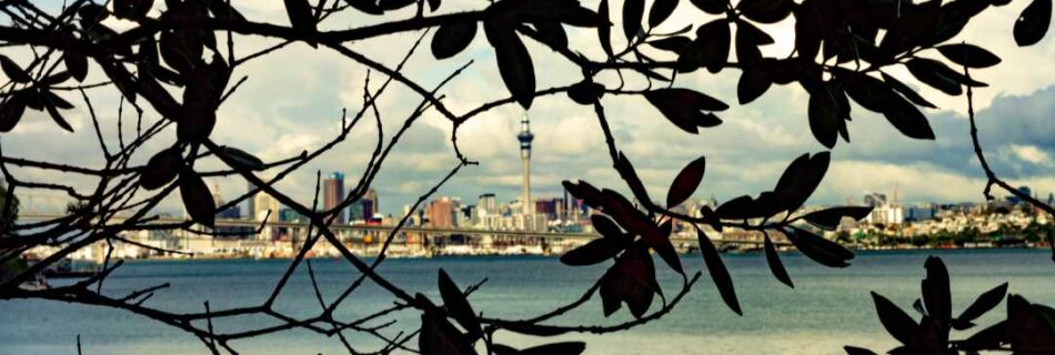 The Skytower Through a Frame Made by Trees