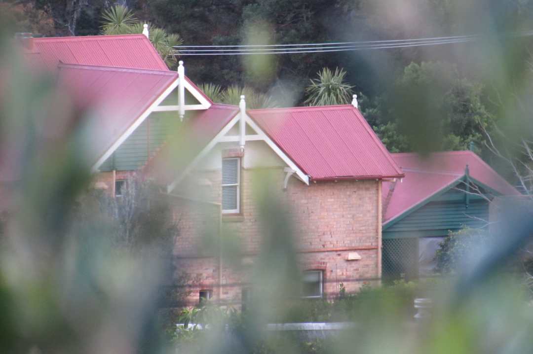 Sydney Wood Beyond the tree tops