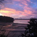 Tiffany Woods: Morning Walks Through Chelsea Estate Heritage Park