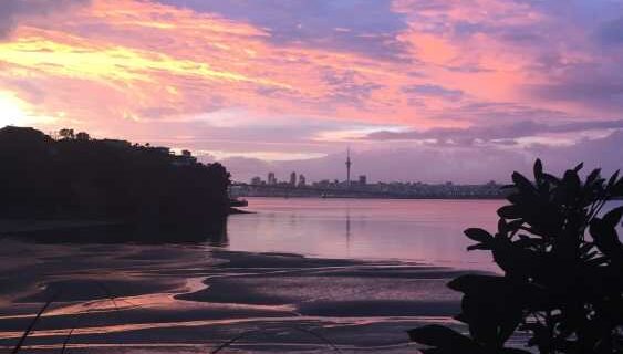 Tiffany Woods: Morning Walks Through Chelsea Estate Heritage Park