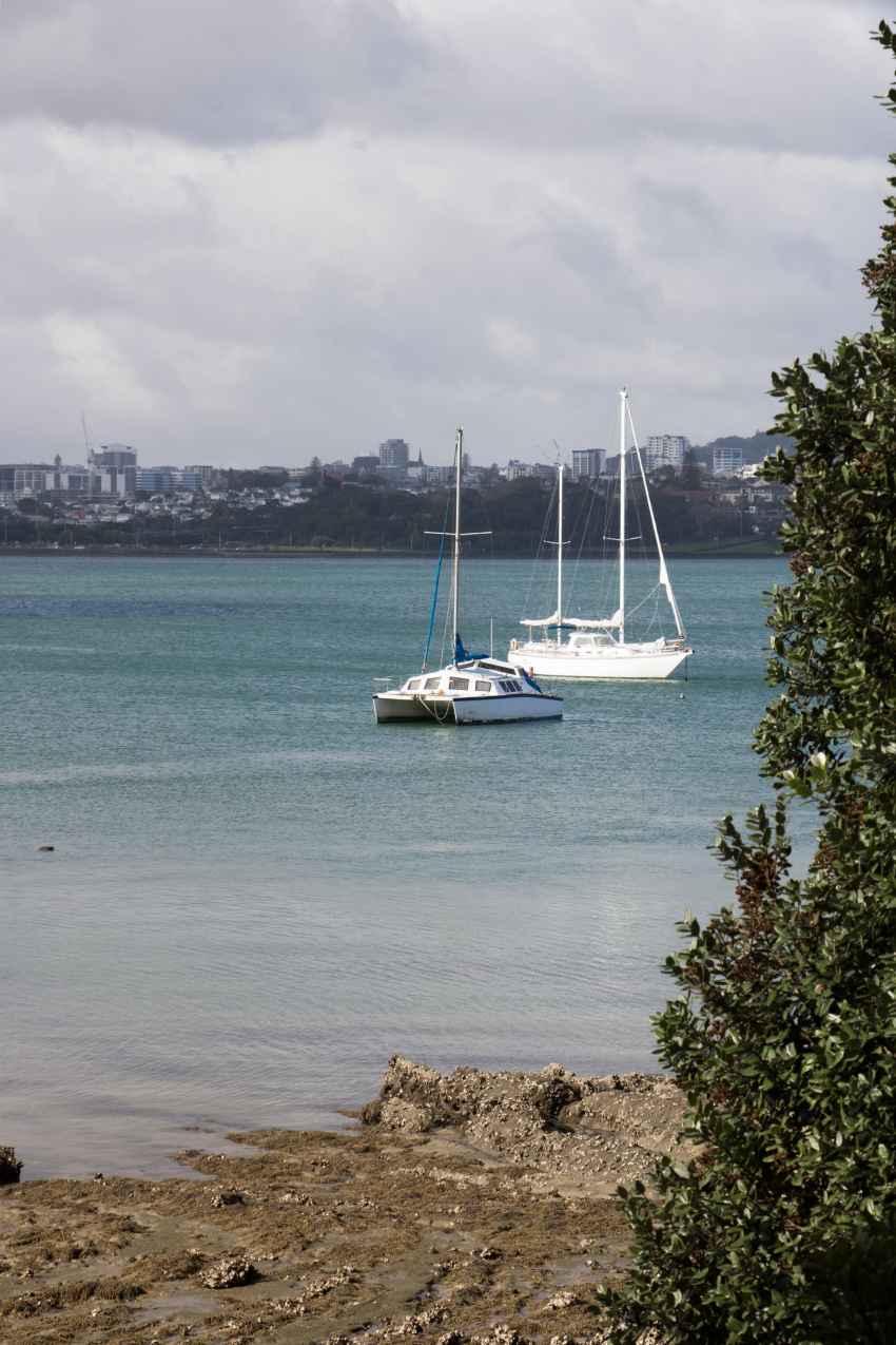 Boats - view near the Chelsea Sugar Factory