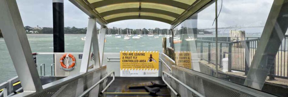 No Flies On Us - Birkenhead Ferry