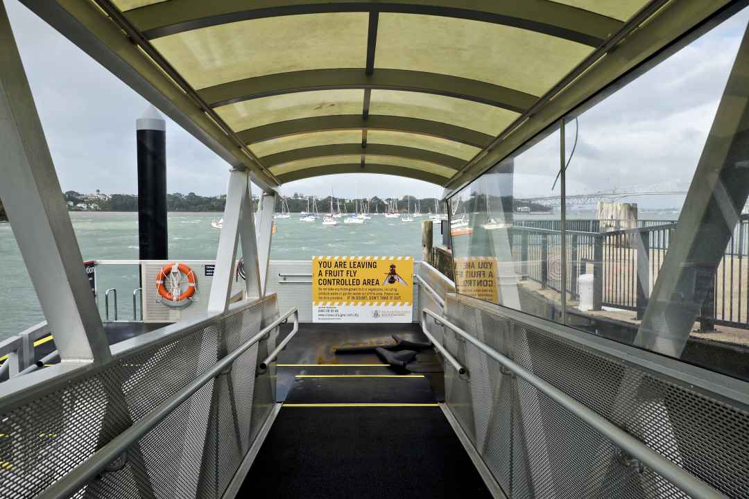 No Flies On Us - Birkenhead Ferry