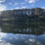 Lake Reflections - eastern headland at Chelsea Estate Heritage Park.