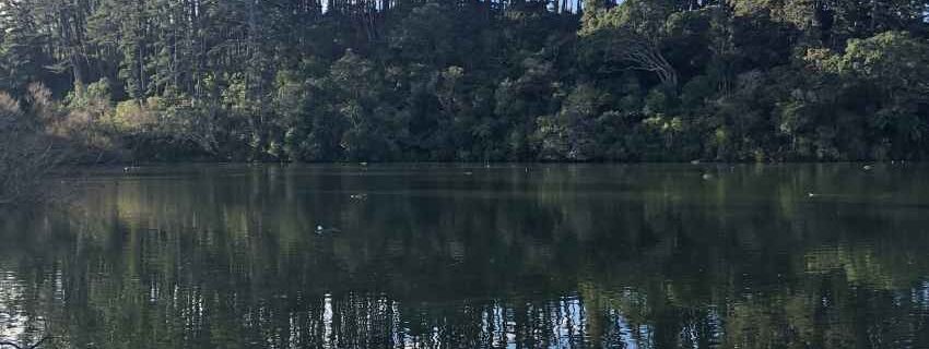 Lake Reflections - eastern headland at Chelsea Estate Heritage Park.