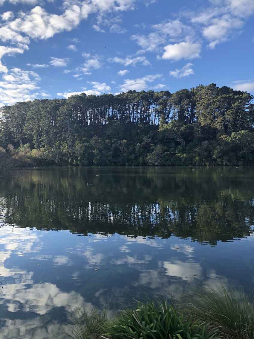 Lake Reflections - eastern headland at Chelsea Estate Heritage Park.