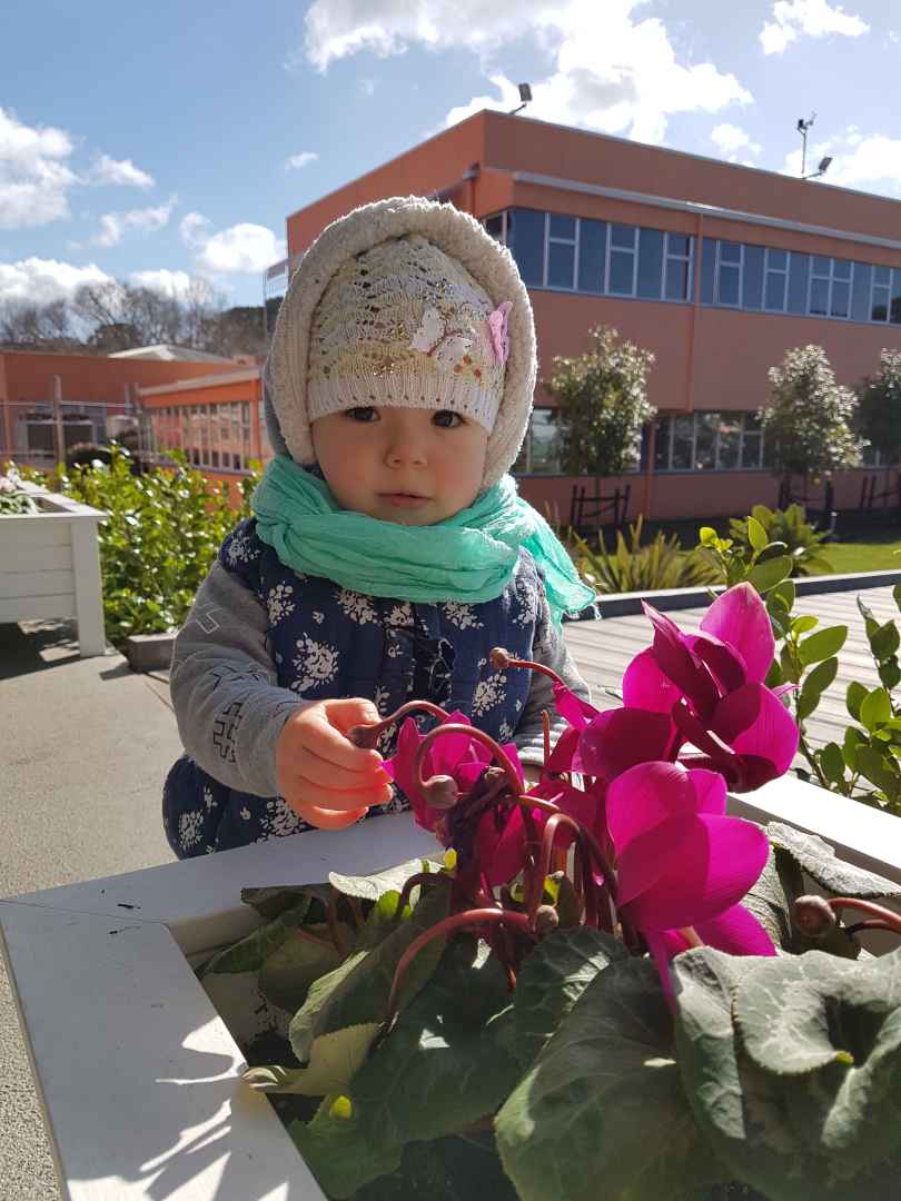 "Sugar" flowers