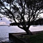 Little Shoal Bay