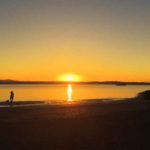 Kauri Point Sunset by Chris Bradley