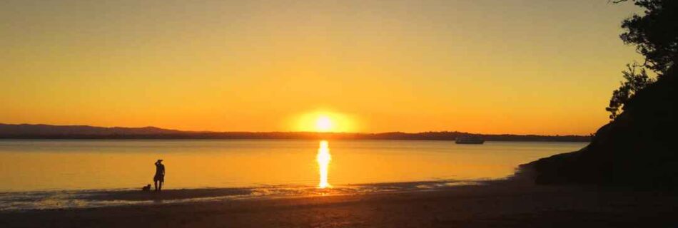 Kauri Point Sunset by Chris Bradley