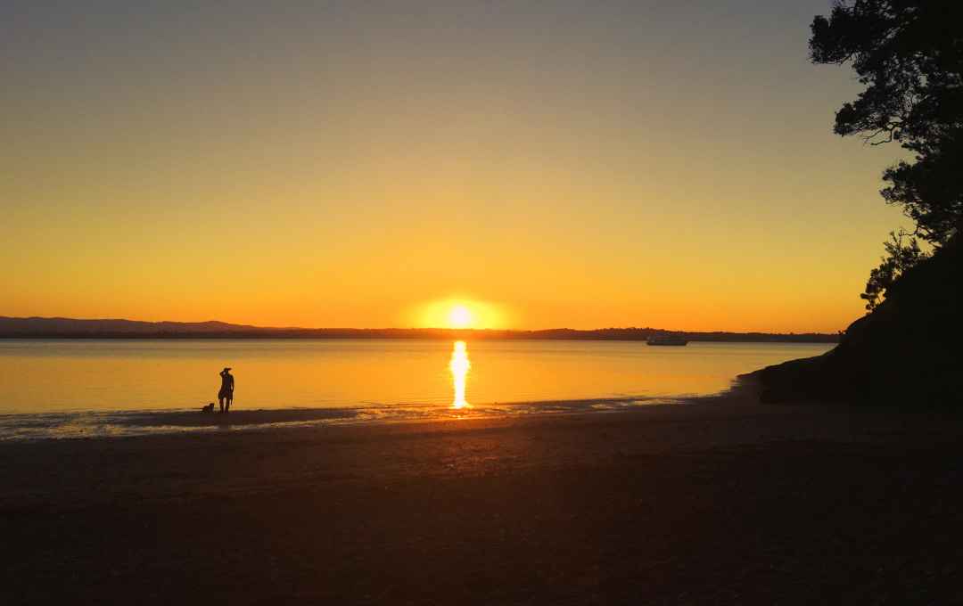 Kauri Point Sunset by Chris Bradley