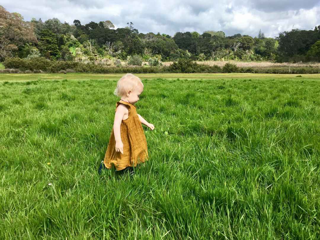 Exploring Little Shoal Bay by Joanna M Farrimond