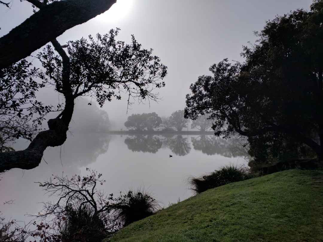 Misty Vista