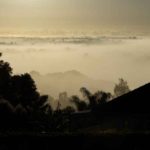 Misty Morning from Hinemoa
