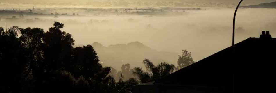 Misty Morning from Hinemoa