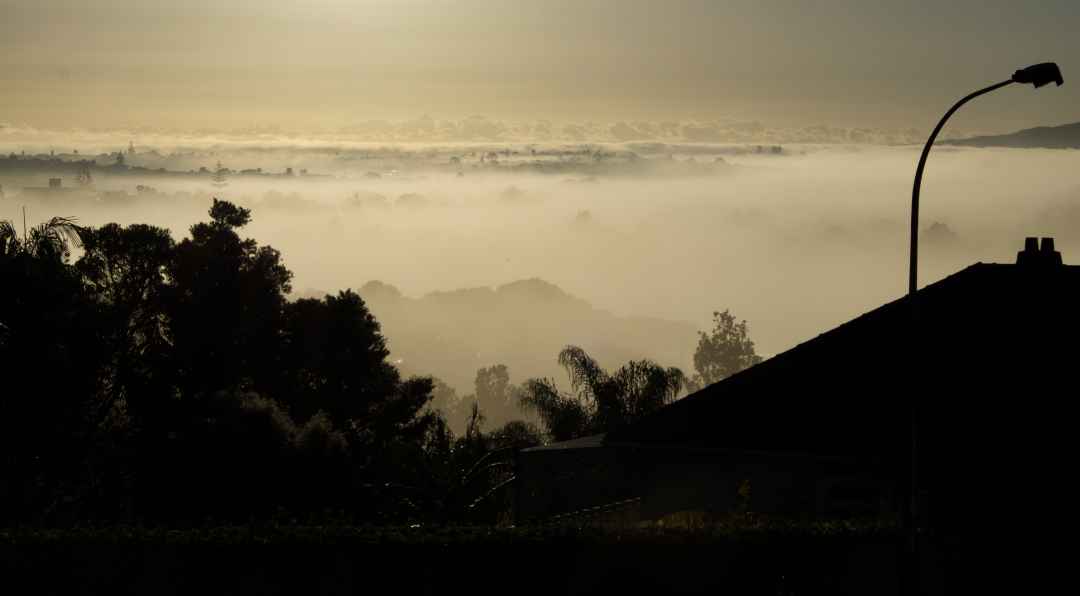 Misty Morning from Hinemoa