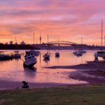 Morning Glory Birkenhead by Lisa Joe