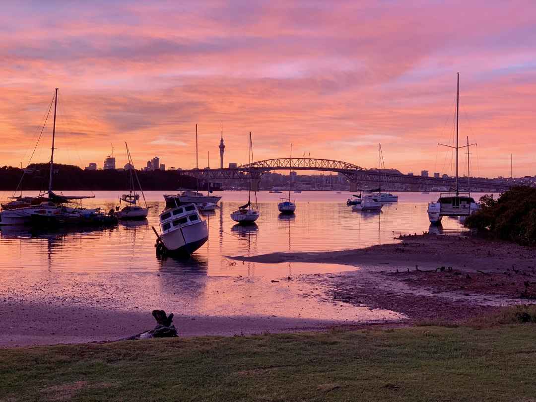 Morning Glory Birkenhead by Lisa Joe