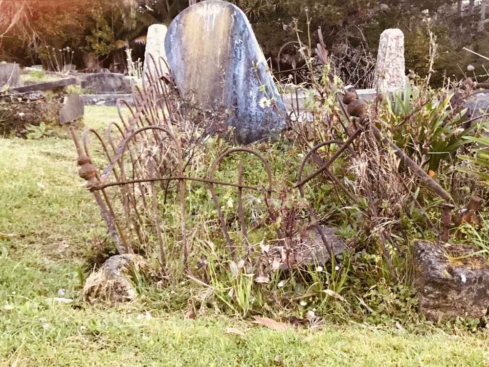 Bear watches over Pompallier Cemetery