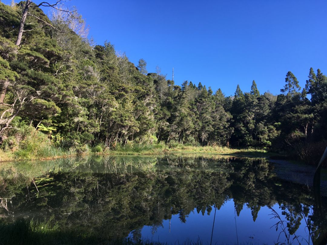 Exploring Chelsea Heritage Park