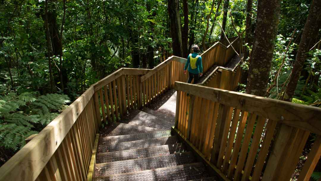 Le Roys Bush Walk Steps