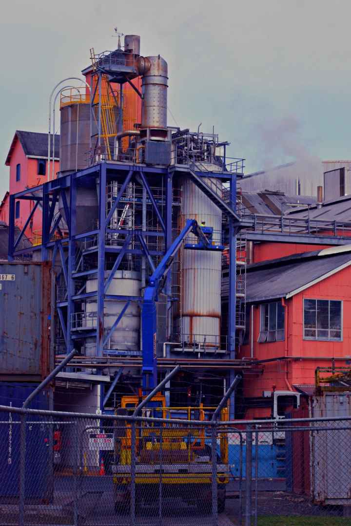 Chelsea Sugar Factory at Work