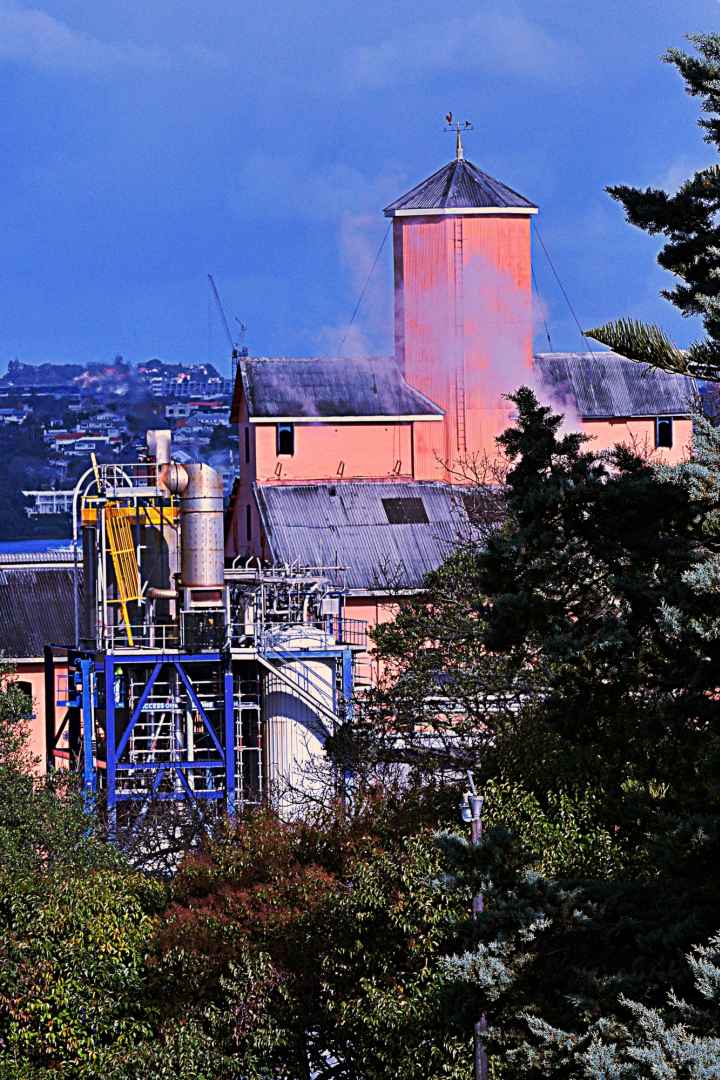 Chelsea Sugar Works in the Sun