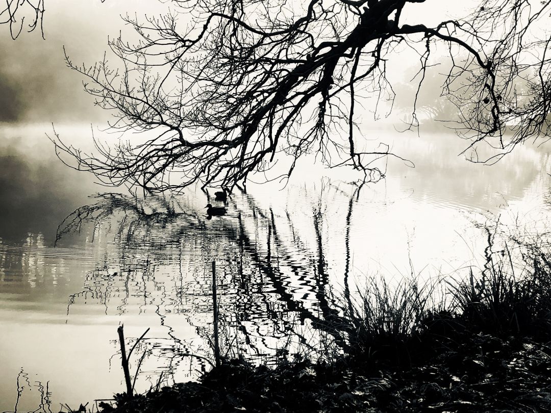 Foggy Birkenhead by Silvia Massa